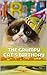 The Grumpy Cat's Birthday by Chunk Ince