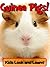 Guinea Pigs! Learn About Gu...