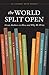 The World Split Open: Great Authors on How and Why We Write (A Literary Arts Reader)