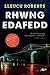 Rhwng Edafedd (Welsh Edition)