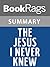 Summary & Study Guide The Jesus I Never Knew by Philip Yancey