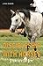 Discipleship with Horses: P...