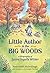 Little Author in the Big Woods: A Biography of Laura Ingalls Wilder (Christy Ottaviano Books)