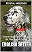 English Setter: How to Own, Train and Care for Your English Setter