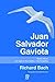 Juan Salvador Gaviota by Richard Bach