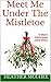 Meet Me Under The Mistletoe: A Short Christmas Love Story