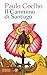 Il Cammino di Santiago (Italian Edition)