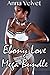 Ebony Love Mega 8 STORY BUNDLE by Anna Velvet