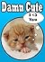 Damn Cute Cats: Only The Cutest Cats In The World.