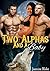 Two Alphas And A Baby by Jasmine Blake