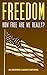 Freedom: How Free Are We Really? (Big Brother Is Always Watching)