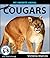 My Favorite Animal: Cougars