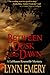 Between Dusk and Dawn (LaShaun Rousselle Mystery, #2)