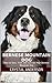 Bernese Mountain Dog: How t...
