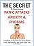 The Secret to overcoming Panic Attacks, Anxiety & Phobias - A... by Tim Russell