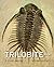 The Trilobite Book: A Visual Journey
