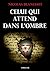 Celui qui attend dans l'ombre (French Edition)