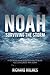 Noah by Richard Holmes