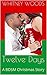 Twelve Days: A BDSM Christmas Story