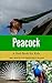 Peacock: a bird book for kids