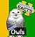 Fantastic Facts About Owls: Illustrated Fun Learning For Kids