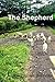 The Shepherd: A Modern Day Parable for Leading a Genuine Life