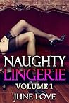 Naughty Lingerie:...