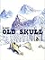 Old skull