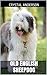 Old English Sheepdog: How to Own, Train and Care for Your Old English Sheepdog