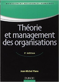 Théorie et management des organisations