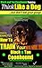 Black and Tan Coonhound Training | Think Like a Dog, But Don’t Eat Your Poop!: Here's EXACTLY How To TRAIN Your Black and Tan Coonhound