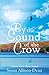By The Sound Of The Crow: I Know You're There Sequel