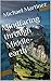 Mindfaring through Middle-earth by Michael Martinez