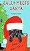 Sally Meets Santa