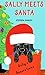 Sally Meets Santa