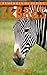 Zebra: Amazing Photos & Fun Facts Book About Zebras For Kids (Remember Me Series)
