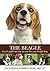 The Beagle: A vet's guide on how to care for your beagle dog