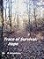Trace of Survival: Hope and Subversion