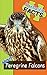 Fantastic Facts About Peregrine Falcons: Illustrated Fun Learning For Kids