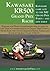 Kawasaki Kr500 Grand Prix (1981): It Should Have Been a Championship Contender (the Motorcycle Files Book 7)