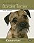You and Your Border Terrier...