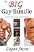 The Big Gay Bundle (3 Book Bundle)
