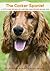The Cocker Spaniel: A vet's guide on how to care for your Cocker Spaniel dog
