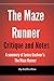Maze Runner: Critique and Notes - A summary of James Dashner’s The Maze Runner (The Maze Runner, Summary, Young Adult)
