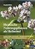 Heimische Nahrungspflanzen als Heilmittel: Gemüse, Früchte und Getreide ? von Ackerbohne bis Zwiebel. Pflanzenkunde Heilanwendungen und Rezepte