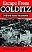 Escape from Colditz: 16 First-hand Accounts