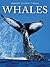 Whales