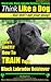 Black Labs, Black Labrador Retriever Training | Think Like a Dog, But Don't Eat Your Poop! | Breed Expert Black Labrador Retriever Training: Here's EXACTLY How to TRAIN Your Black Labrador Retriever