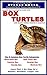 Box Turtles