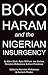 Boko Haram and the Nigerian Insurgency by Brendan McNamara